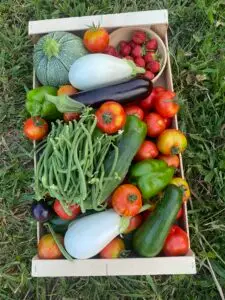 Un gros panier d'été