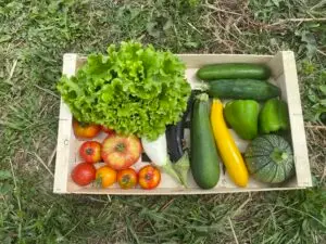 Un petit panier de début d'été