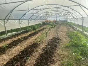 Du bon fumier local !