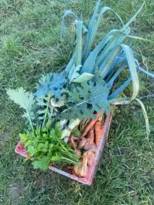 Une beau panier d'hiver !